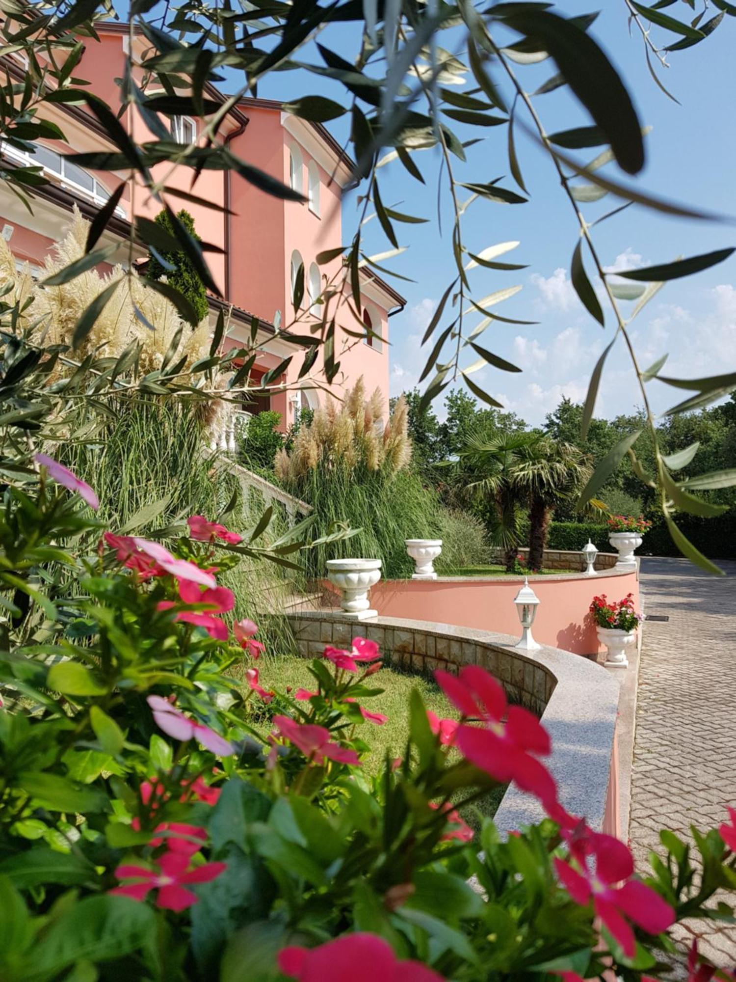 Apartments And Rooms Villa Chiara 크르니카 외부 사진